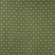 Maxwell HADDIE #641 SPROUT Drapery Fabric