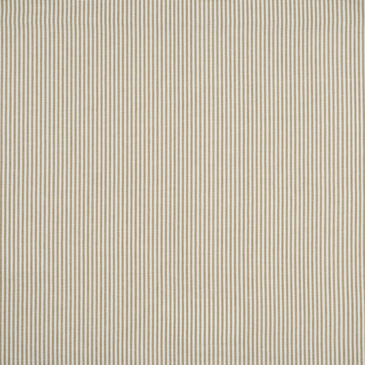 Maxwell LOGAN #758 CAMEL Drapery Fabric