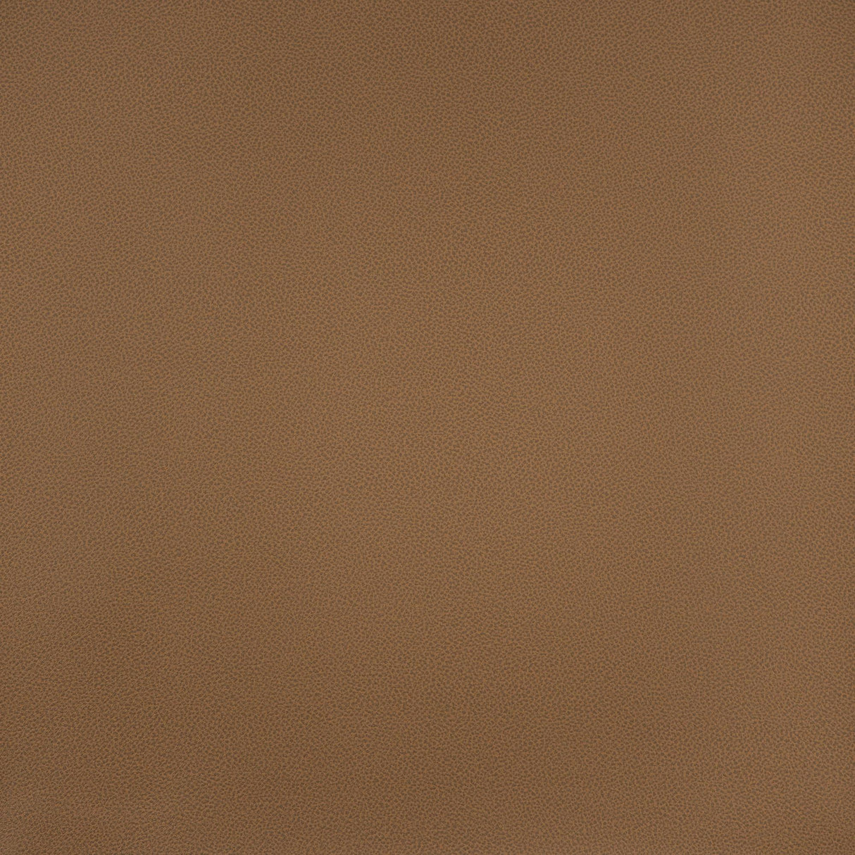 Maxwell POMMEL #866 TOFFEE Fabric