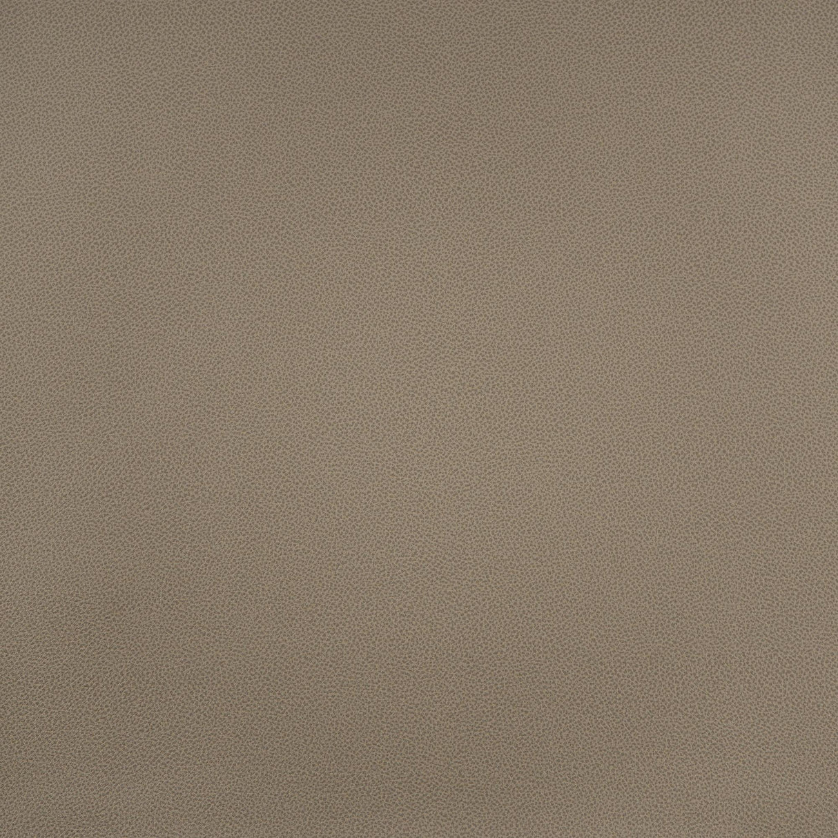 Maxwell POMMEL #879 ALEXANDRIA Fabric
