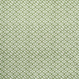 Maxwell RYDER #624 ALOE Drapery Fabric