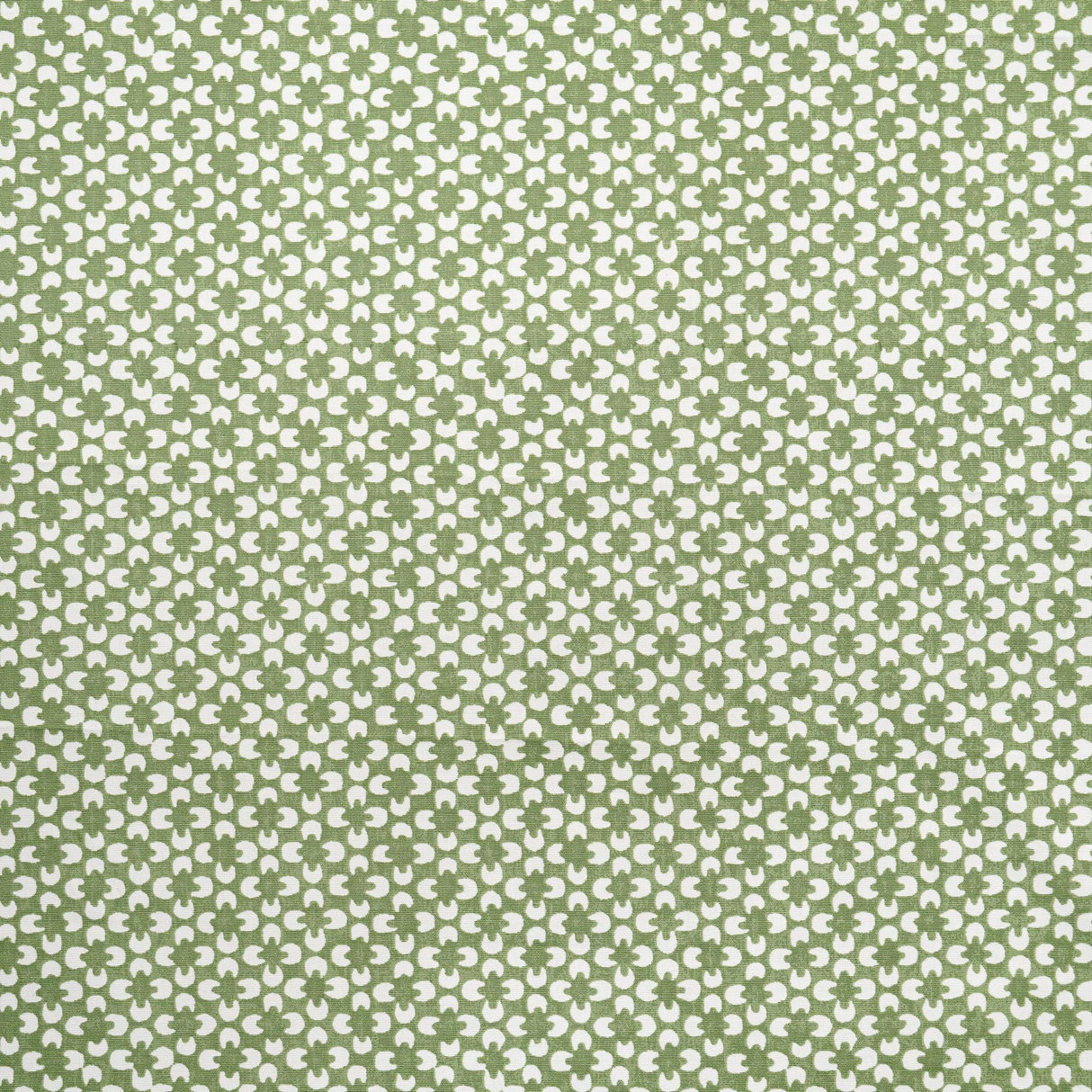 Maxwell RYDER #624 ALOE Drapery Fabric
