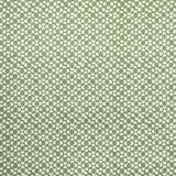 Maxwell RYDER #624 ALOE Drapery Fabric
