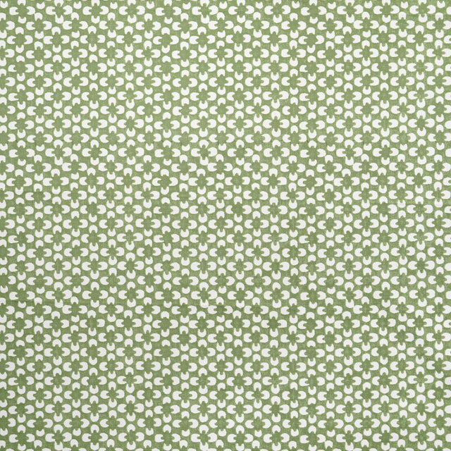 Maxwell RYDER #624 ALOE Drapery Fabric