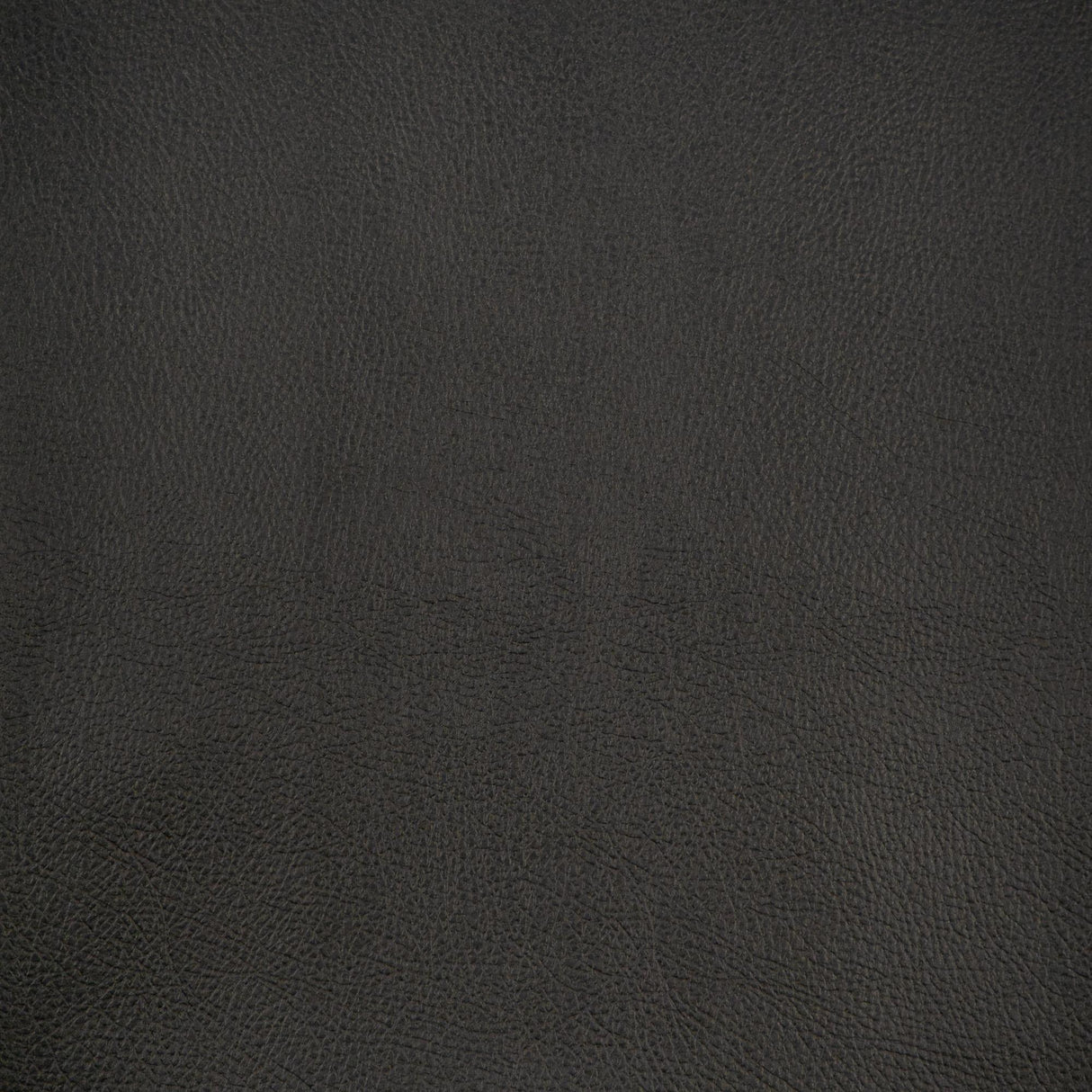 Maxwell SPUR #833 STALLION Fabric