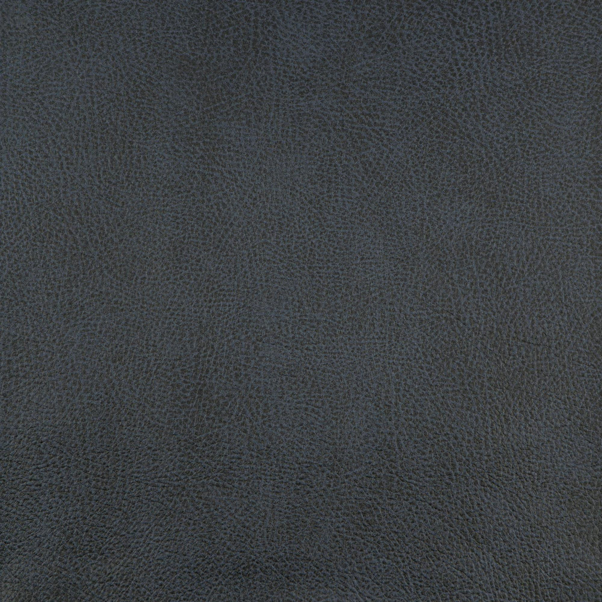 Maxwell SPUR #858 ASTRO Fabric