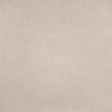 Maxwell SPUR #889 BIRCH Fabric