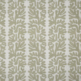 Maxwell TILLY #608 ROSEMARY Drapery Fabric