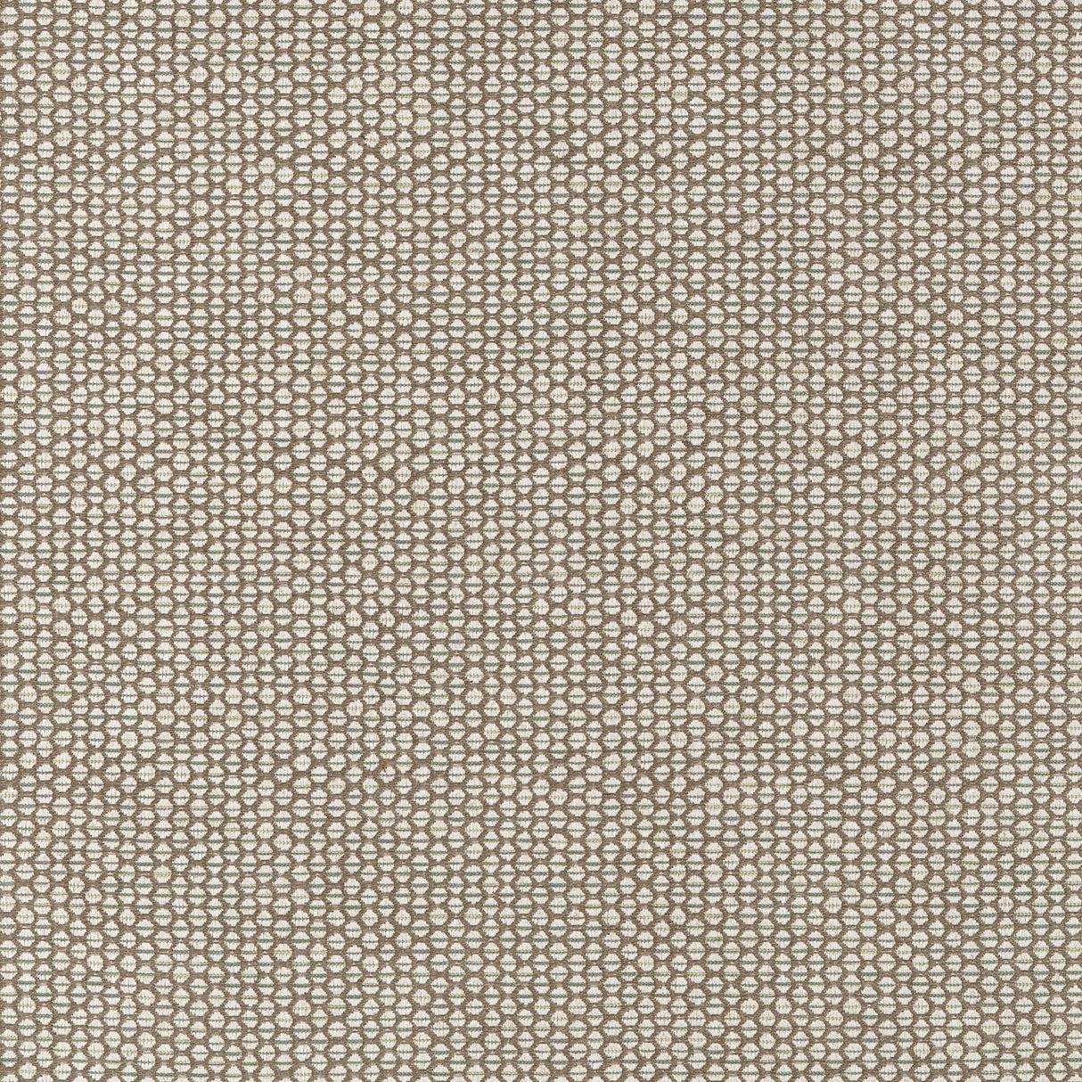 Thibaut Endicott Fawn Fabric