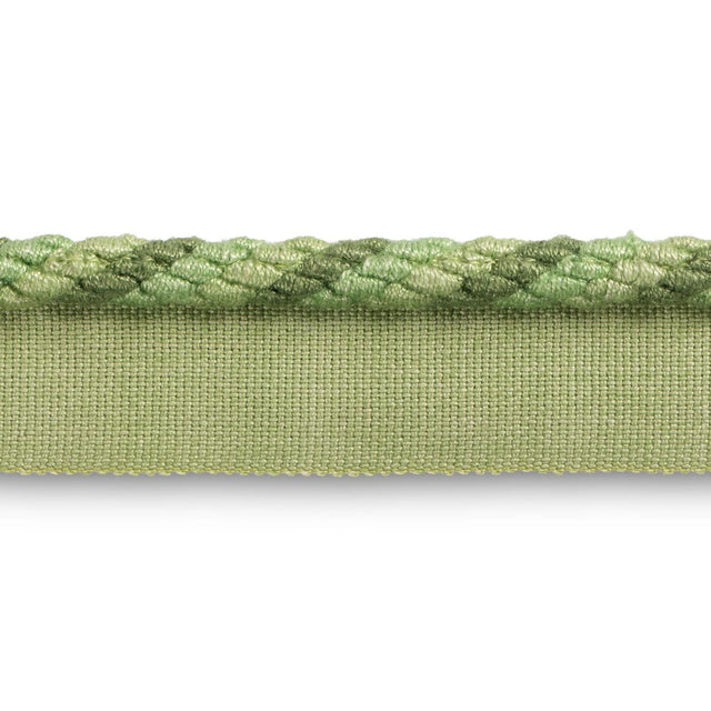 Brunschwig & Fils MONTCEL CORD LEAF Trim