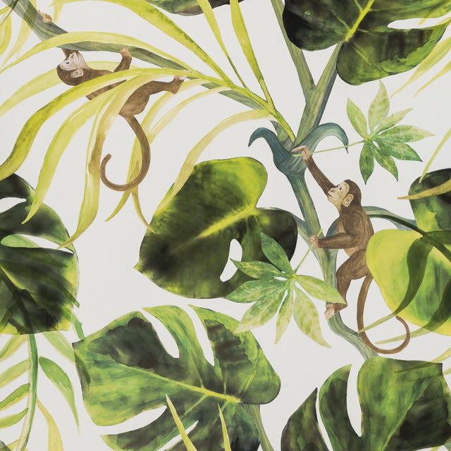 Clarke & Clarke MONKEY BUSINESS NATURAL Wallpaper
