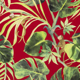 Clarke & Clarke MONKEY BUSINESS ROUGE Wallpaper