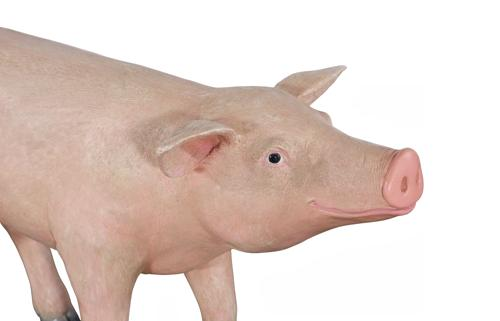 Phillips Collection Pig Sculpture Standing Gel Coat Accent