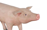Phillips Collection Pig Sculpture Standing Gel Coat Accent
