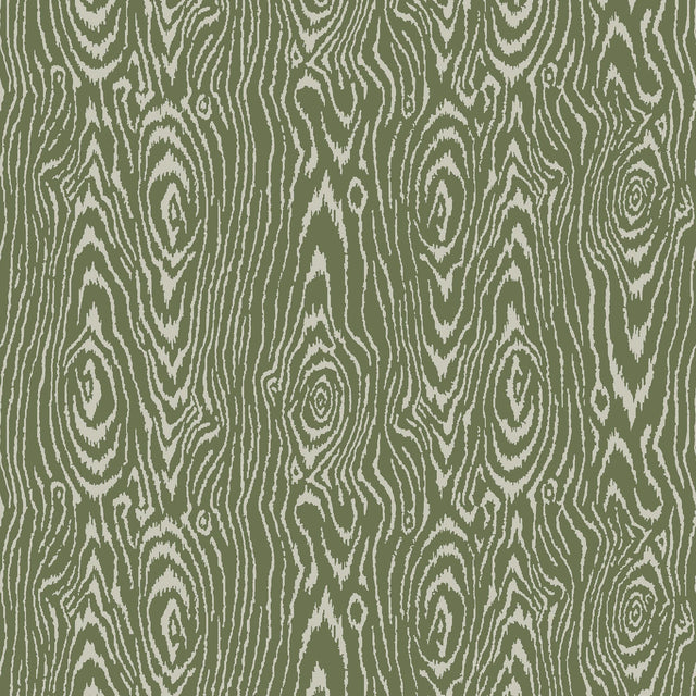 Maxwell EUCLID (WP) #602 BASIL Wallpaper