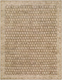 Surya Agra AAA-2304 2' x 3' Handmade Rug