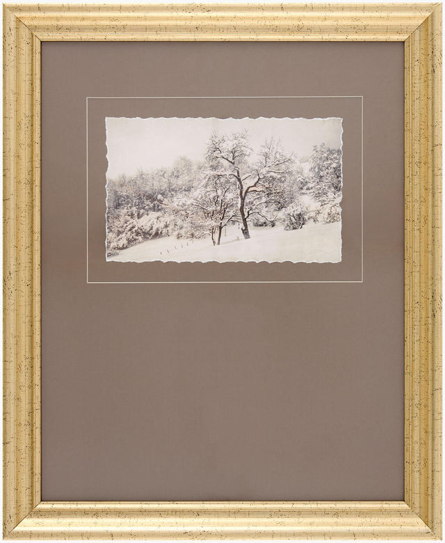 Surya Coconino COCO-004 23"H x 19"W x 1"D Art