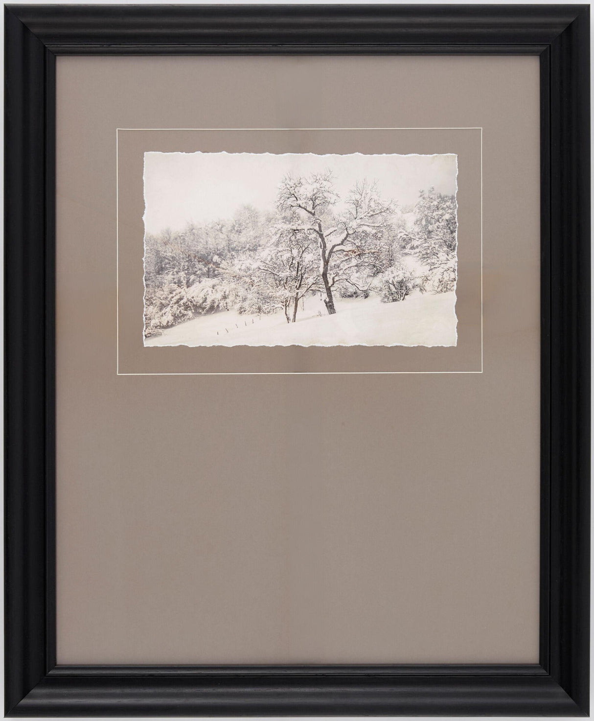 Surya Coconino COCO-006 23"H x 19"W x 1"D Art