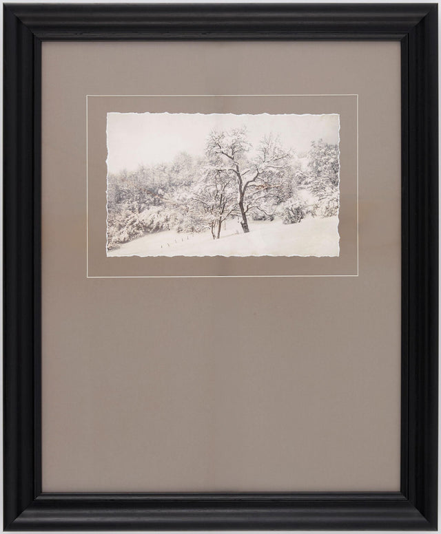 Surya Coconino COCO-006 23"H x 19"W x 1"D Art