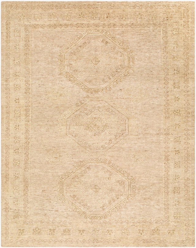 Surya Destiny DEY-2300 6' x 9' Handmade Rug