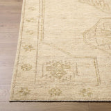 Surya Destiny DEY-2301 2' x 3' Handmade Rug