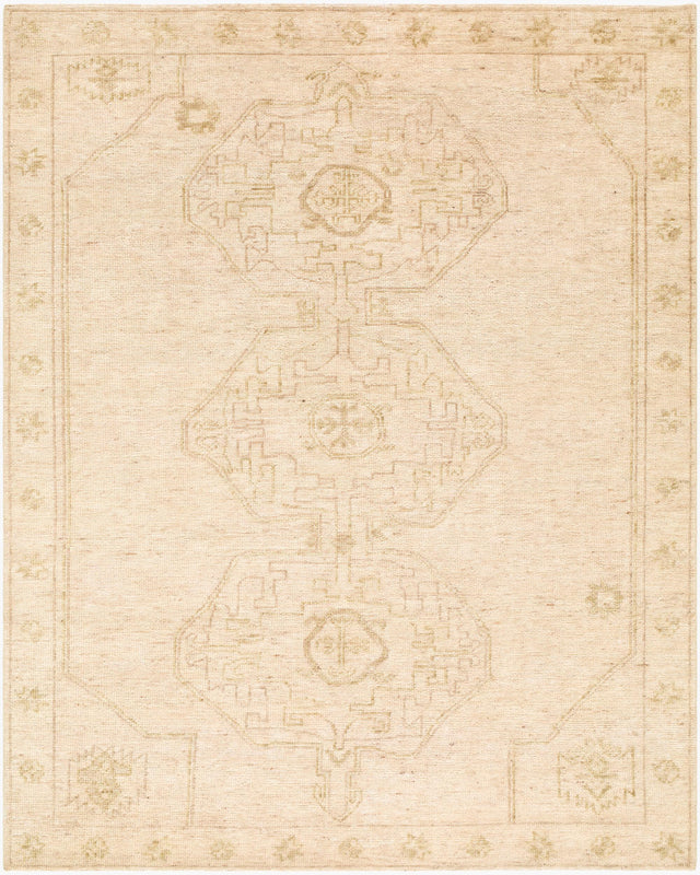 Surya Destiny DEY-2301 6' x 9' Handmade Rug