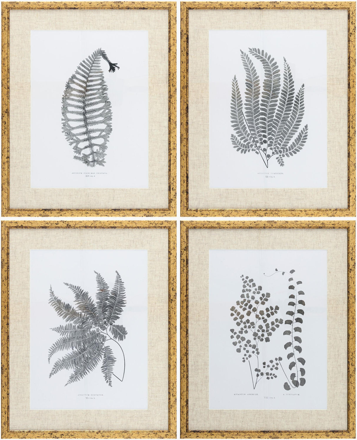 Livabliss Ferne FERNE-003 1"H x 17"W x 21"D; 1"H x 17"W x 21"D; 1"H x 17"W x 21"D Art