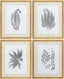 Livabliss Ferne FERNE-003 1"H x 17"W x 21"D; 1"H x 17"W x 21"D; 1"H x 17"W x 21"D Art