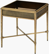 Surya Valenza VNZA-003 22"H x 20"W x 20"D Accent Table