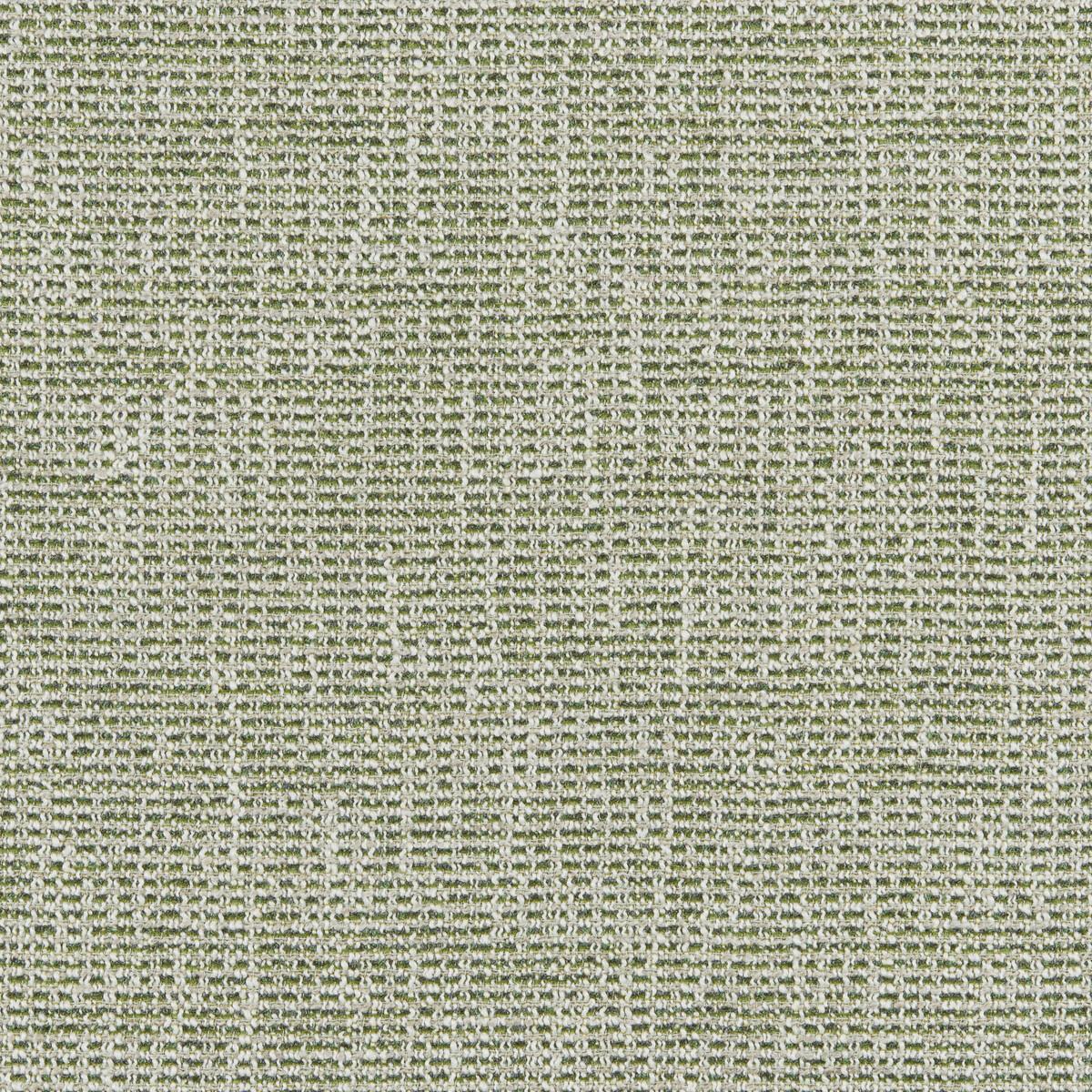 Brunschwig & Fils BRIOUDE TEXTURE GREEN Upholstery Fabric