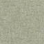 Brunschwig & Fils BRIOUDE TEXTURE GREEN Upholstery Fabric