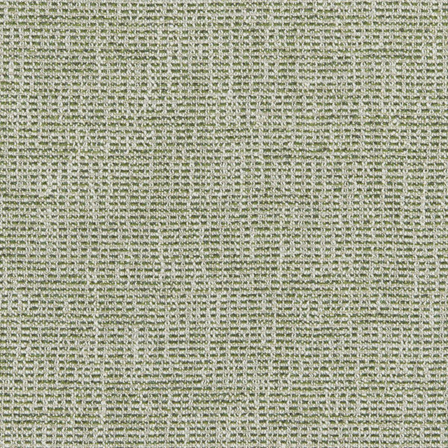 Brunschwig & Fils BRIOUDE TEXTURE GREEN Upholstery Fabric