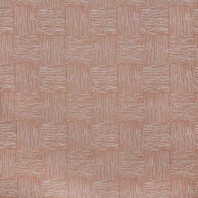 Pindler MANZANITA ROSEWOOD Fabric