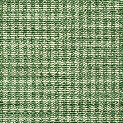 Pindler PEMBROKE FERN Fabric