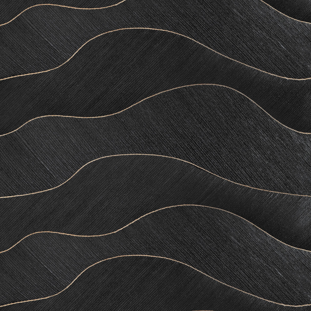 Coraggio La Corda Black Wallpaper
