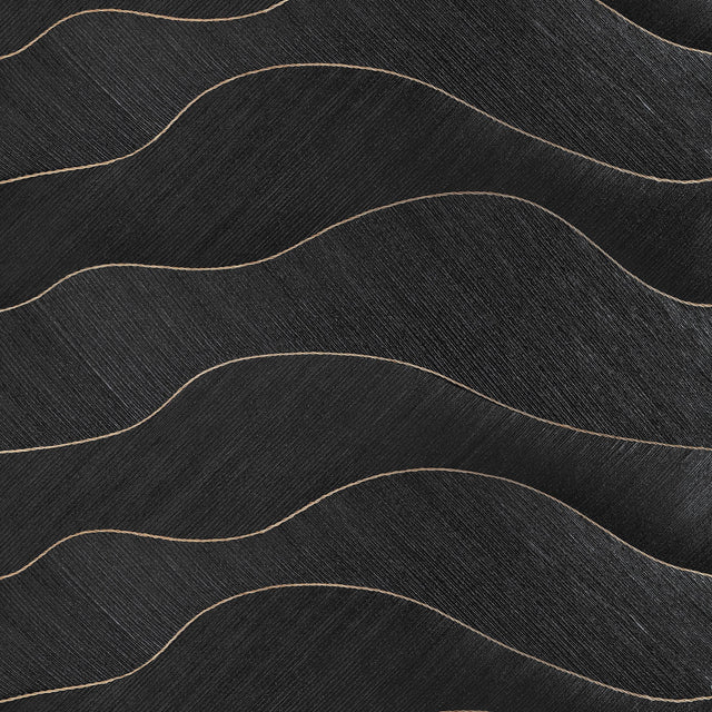 Coraggio La Corda Black Wallpaper