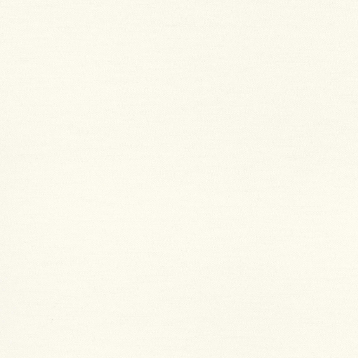 Coraggio Intimo Ivory Fabric