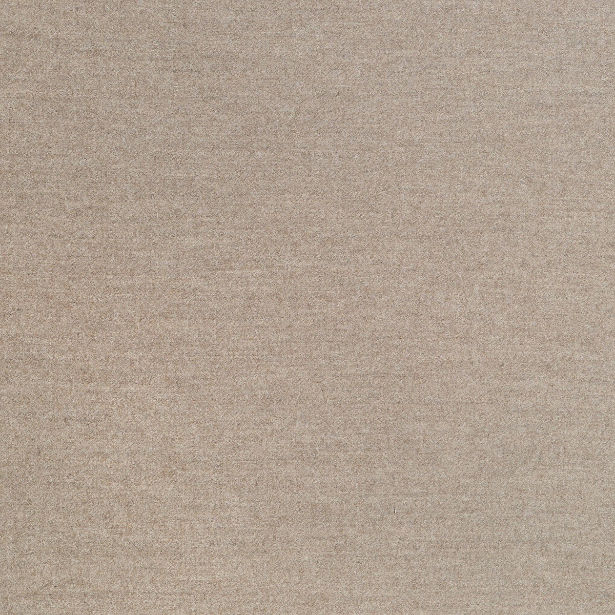 Coraggio Intimo Taupe Fabric