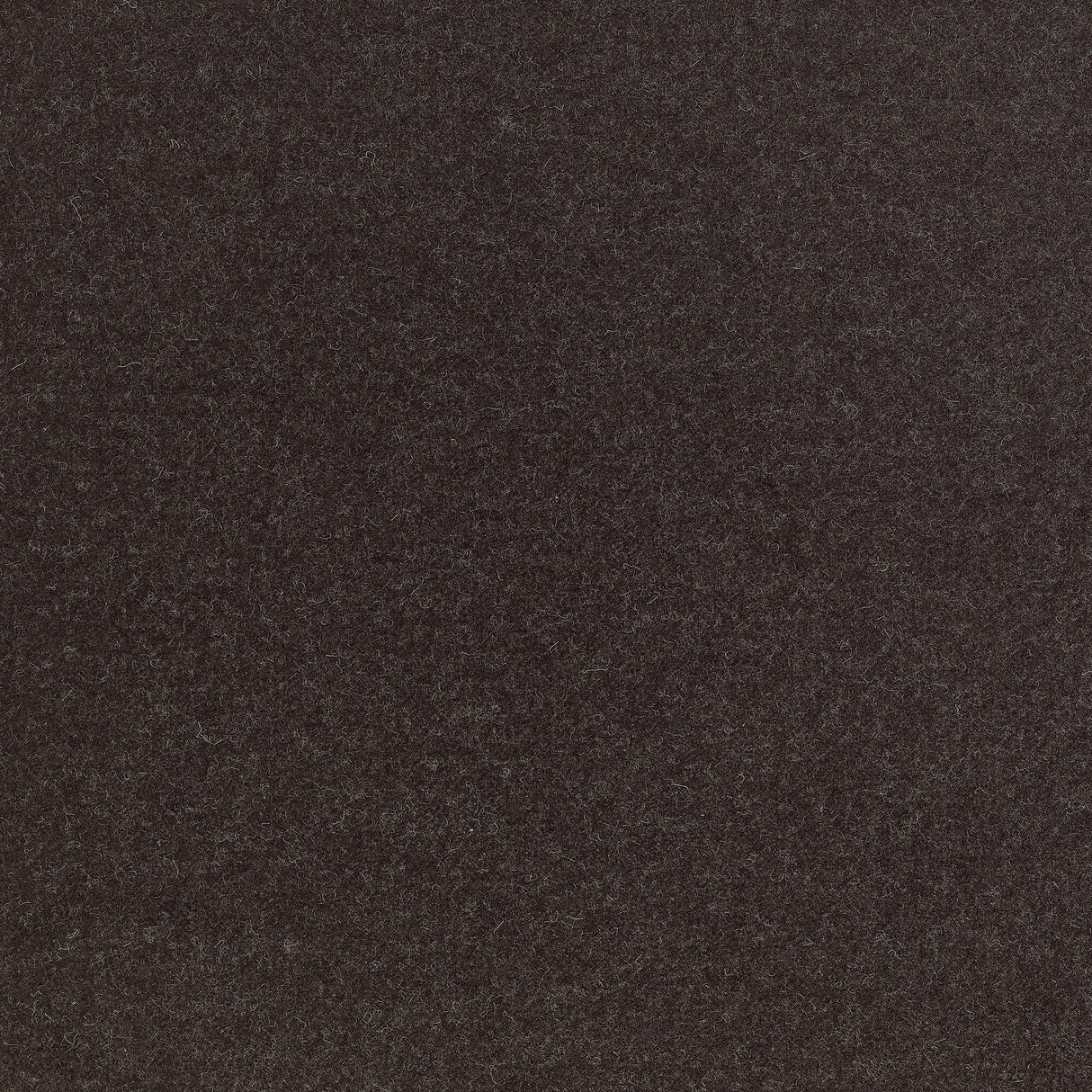 Coraggio Intimo Espresso Fabric