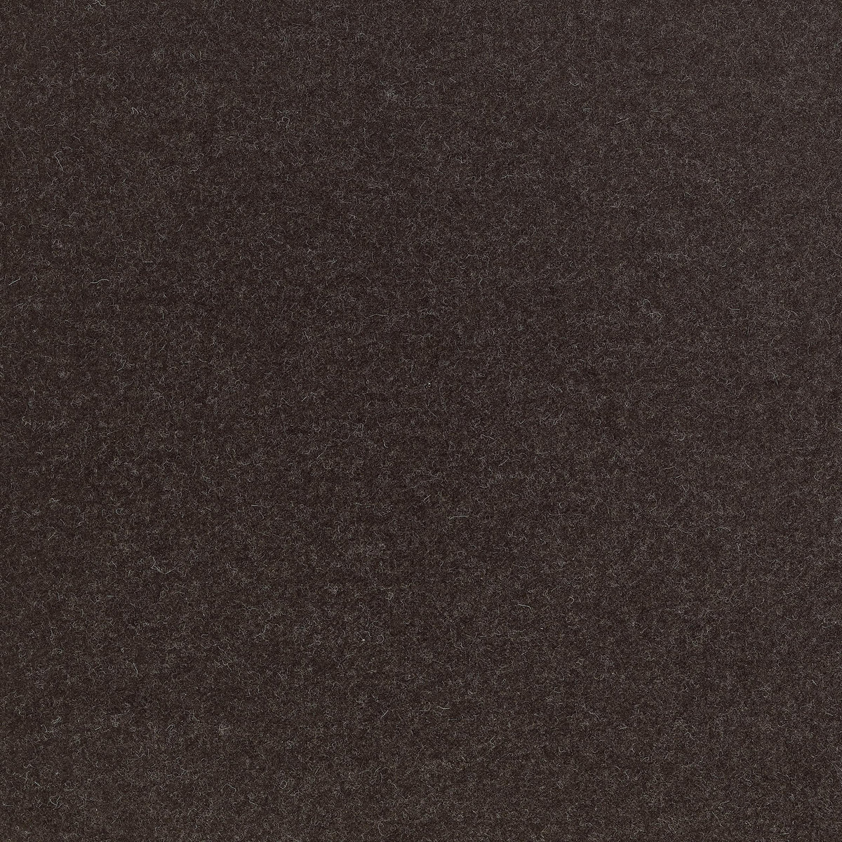 Coraggio Intimo Espresso Fabric