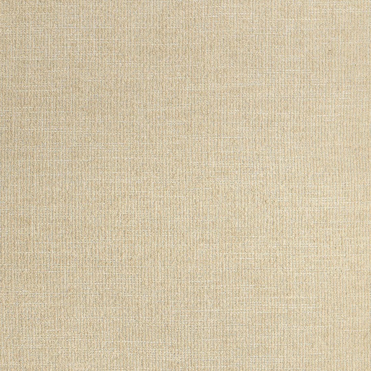 Coraggio Soffio Buff Fabric