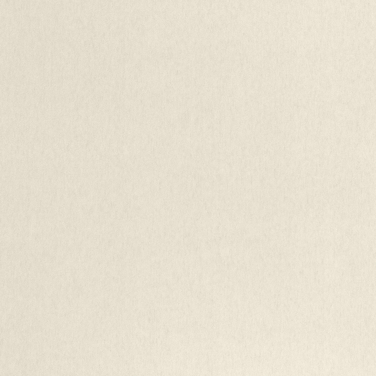 Coraggio Biella Wool Angora Fabric
