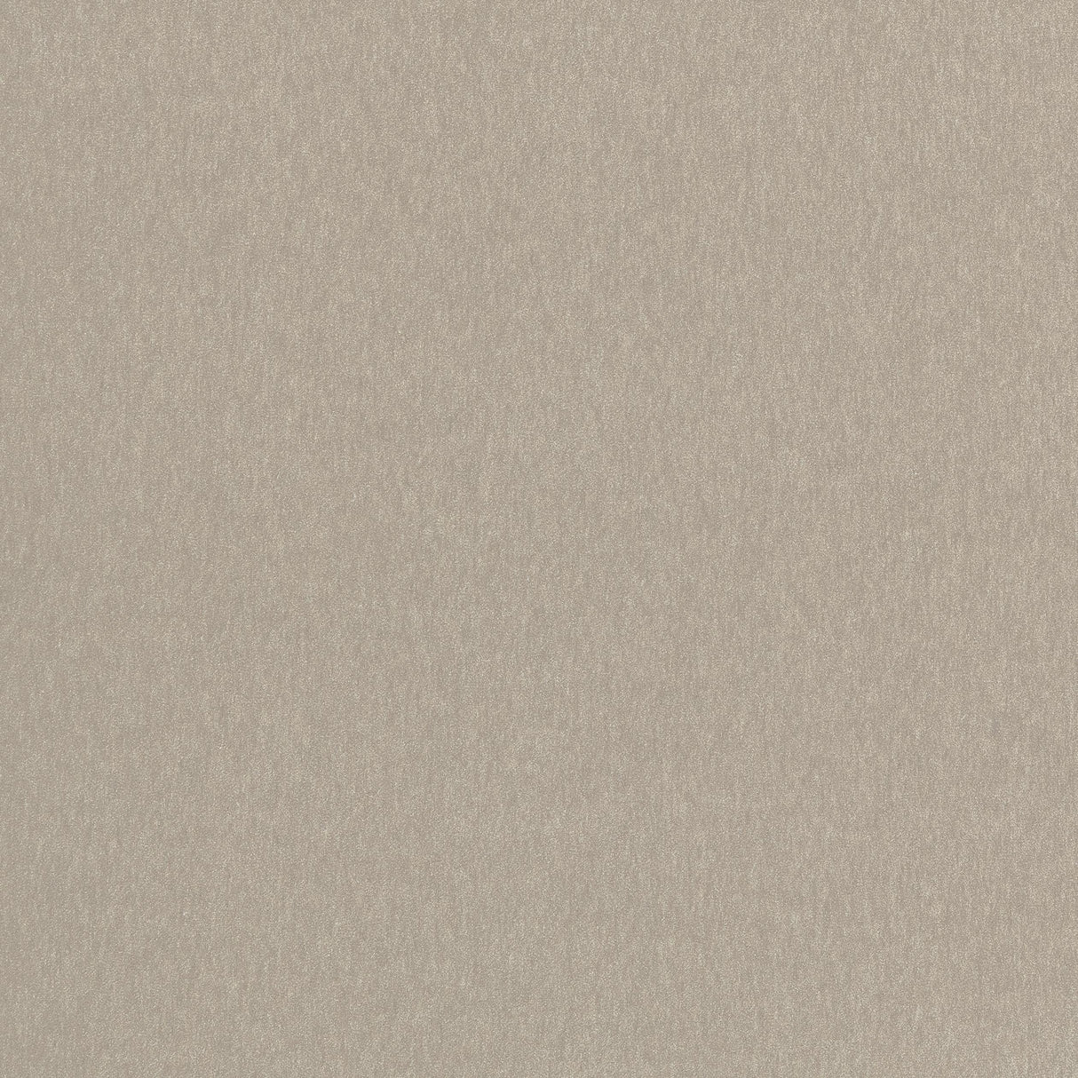 Coraggio Biella Wool Taupe Fabric