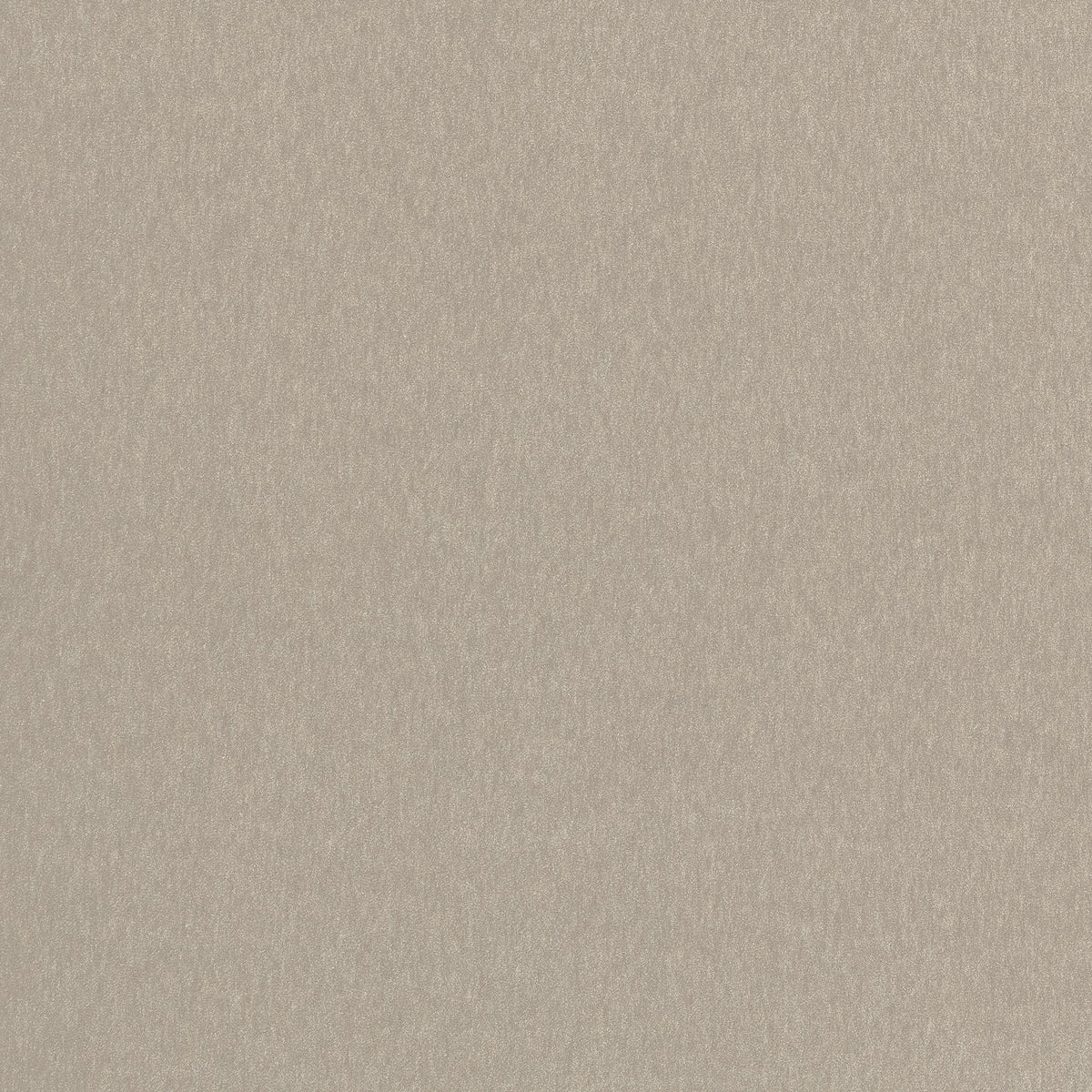 Coraggio Biella Wool Taupe Fabric