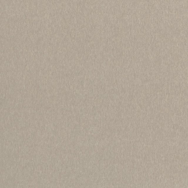 Coraggio Biella Wool Taupe Fabric