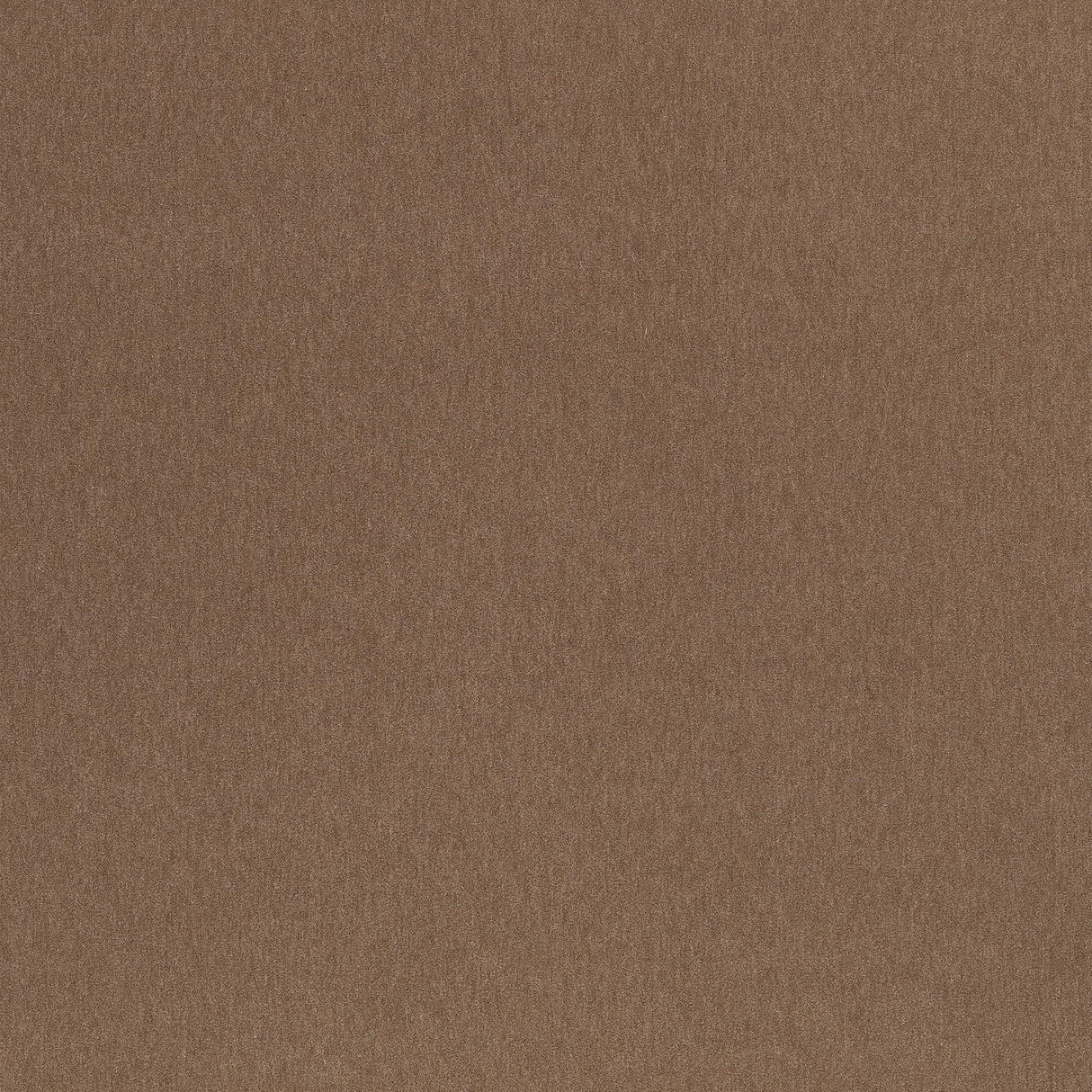 Coraggio Biella Wool Cappuccino Fabric