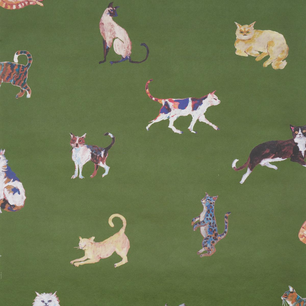 Schumacher Cats Green Wallpaper