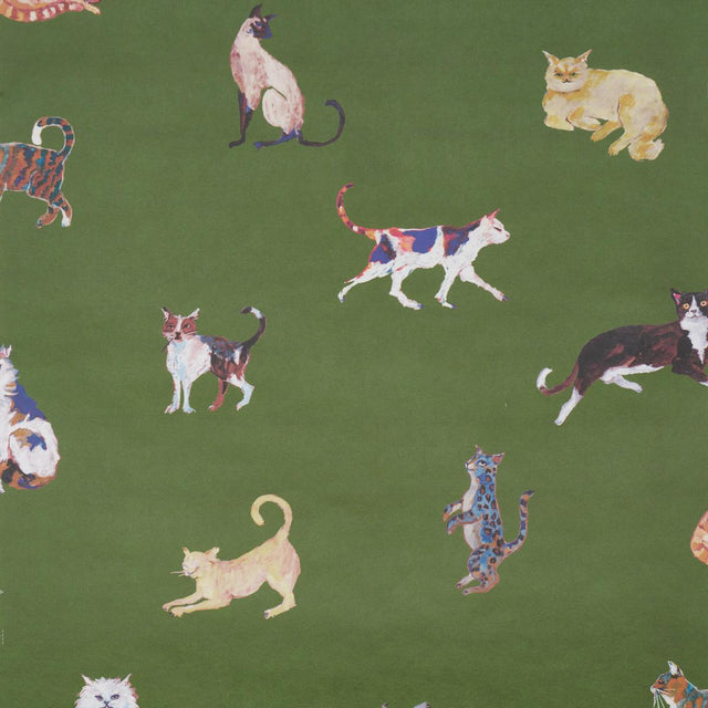 Schumacher Cats Green Wallpaper