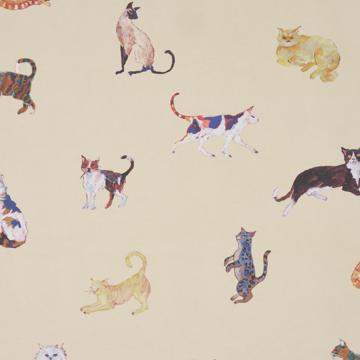 Schumacher Cats Cream Wallpaper