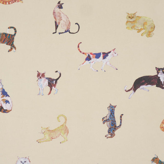 Schumacher Cats Cream Wallpaper